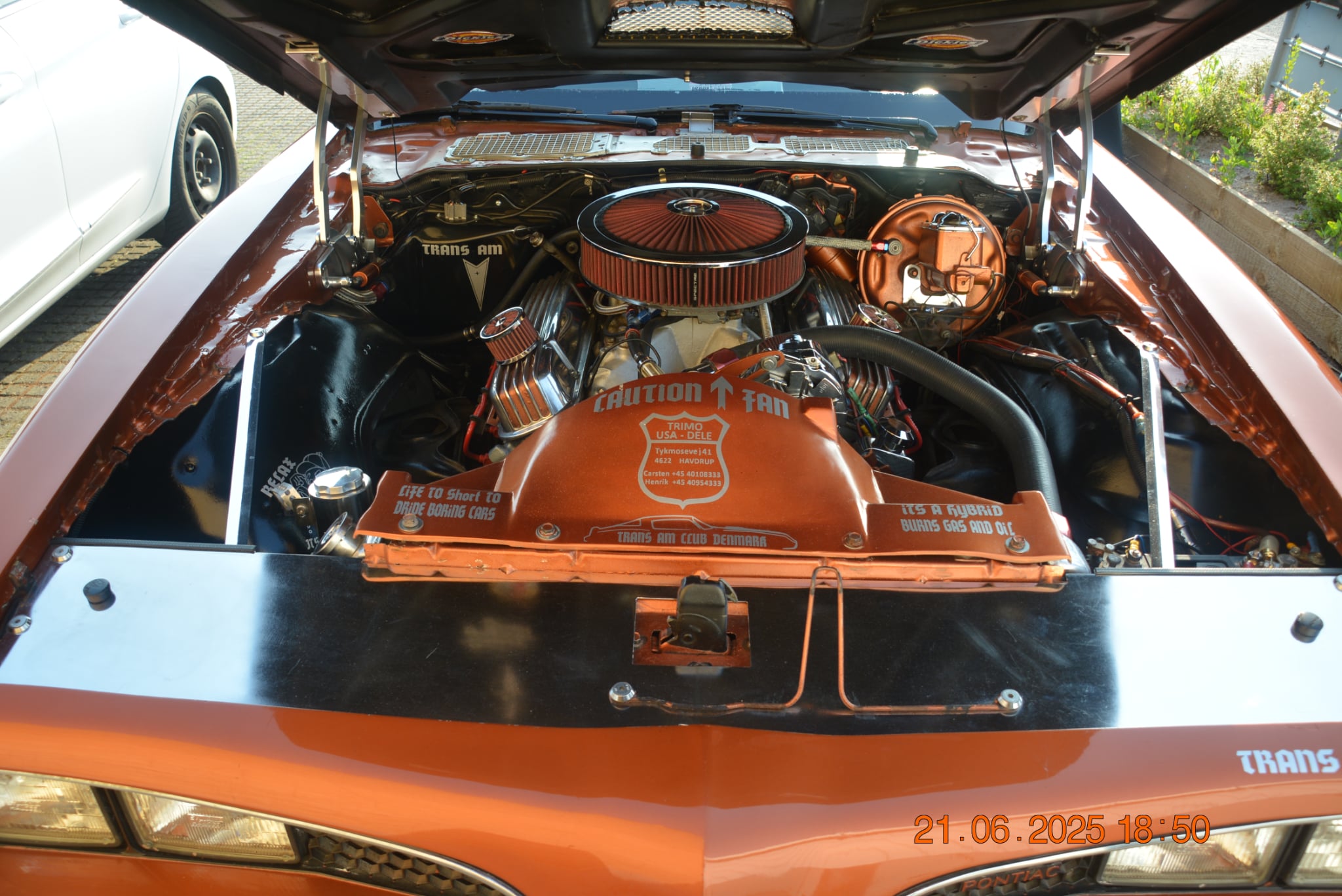 BRUN TRANS AN V 8
